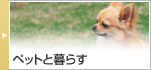 �y�b�g�ƕ�炷