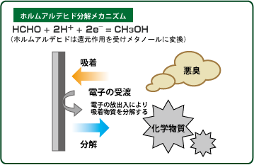 ホルムアルデヒド分解メカニズム